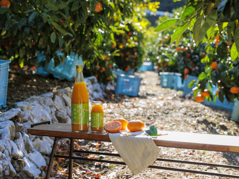 【お得な12本セット♪】陽だまりファーム  三ヶ日青島みかんジュース ストレート100％（720ml×12本）