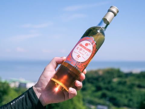 【福袋】3本/なつみ・不知火の完熟贅沢絞りジュース720㎖ 各1本　と太幸ワイン500㎖×1本