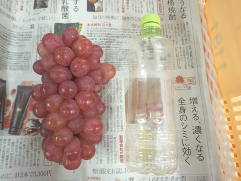 【値引き中！総重量1.5kg以上！】平井利右衛門の赤ぶどう（コトピー/3房）