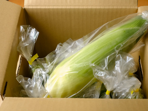 【スッキリとした甘さ・果汁たっぷり・生食可】白いとうもろこし9kg（20～28本）