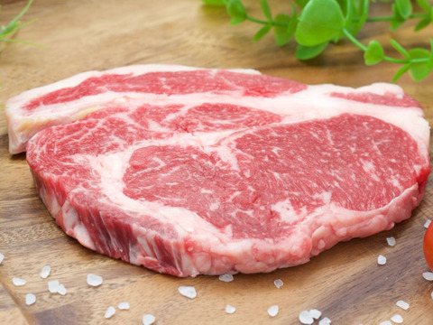 【今だけ20％OFF】サーロイン＋リブロースステーキ各200g 計400g