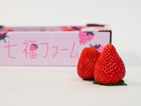 今話題のいちご「あまりん」2パックセット