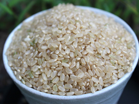 【限定価格】令和2年産米ゆめしなの《玄米》（5kg）　長野県の高地限定栽培のおいしいお米