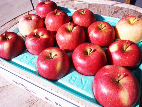 希少品種🍎安祈世🍎3kg りんご好きもうなる皮までおいしい低農薬りんご✨ギフト 贈答用可 予約 旬