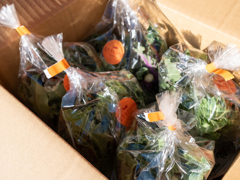 冬の恵 「プチヴェール」2〜3種ミックス80g×5袋