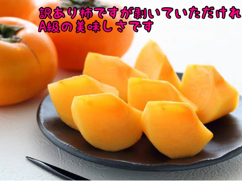 産地直送！ECサイト初出品《送料無料B良品5Kg（キズほぼなし）◎どんどん出荷中◎橋本の種無し柿