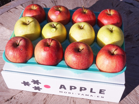 【家庭用】低農薬で皮ごとおいしい青森りんご3種類食べ比べ 3kg🍎🍏🍎