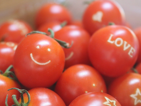 世界で唯一の笑顔を広げるトマト「ハピフルとまと」