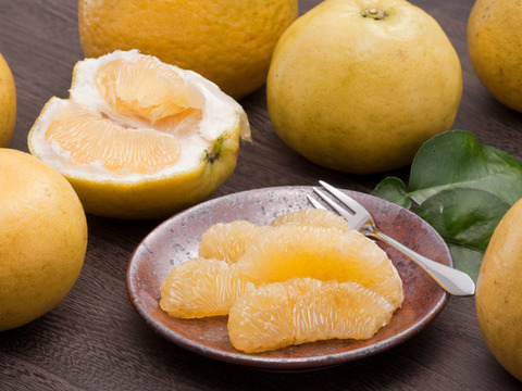 【ギフト用7kg】夏文旦　濃厚でジューシー！潮風を浴びた南国高知県育ちの夏文旦　柑橘みかん　オレンジ