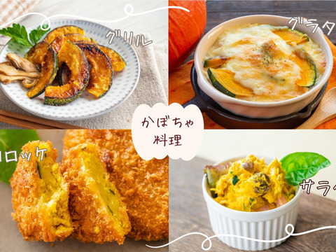 ホクホクがたまらない♪三右エ門栗かぼちゃ 10㎏(4～7玉)【化学肥料不使用】