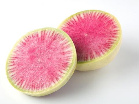 カラフル！彩り大根&かぶ　3種類詰め合わせ3kg