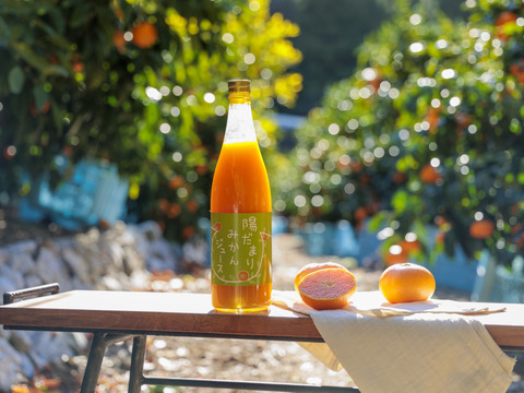 【お得な12本セット♪】陽だまりファーム  三ヶ日青島みかんジュース ストレート100％（720ml×12本）