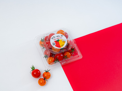 【ミックス】極上濃厚フルーツトマト「ポモロッサ」お試し用（1パック赤＋1パックミックス＋おまけ付）【トマト食べ比べ】