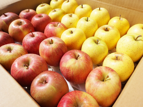 【家庭用】青森りんご小玉サイズ🍎🍏2種類4kg 低農薬で安心！