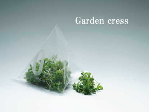 【ガーデンクレス】マイクログリーン(7ｇ)成熟野菜の約5倍の栄養価！