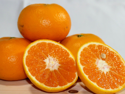 大特価！豊作につき　はれひめ【訳あり】愛媛県産　希少品種の“はれひめ”　サイズ不揃い　３キロ