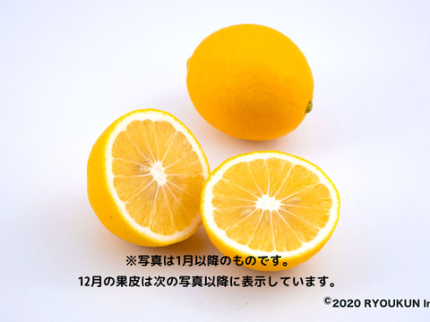 冬はホットレモネード 国産マイヤーレモン 3kg 宮崎県産 食べチョク 農家 漁師の産直ネット通販 旬の食材を生産者直送 冬はホットレモネード 国産マイヤーレモン 3kg 宮崎県産 食べチョク 農家 漁師の産直ネット通販 旬の食材を生産者直送