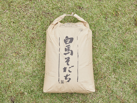 【令和5年産】有機JAS認証　農薬不使用　コシヒカリ(（白米27kg）玄米30㎏)お米