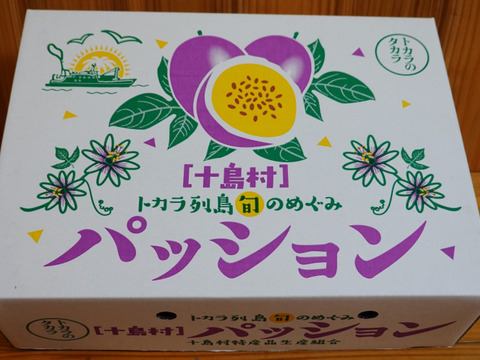 【予約販売  ギフト用】日本最後の秘境トカラ列島から旬をお届けします！ 完熟パッションフルーツ 1kg（10〜15玉）化粧箱入り