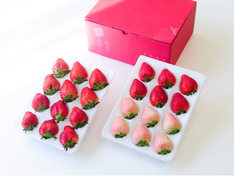 【福袋】「栃木のいちご4種入り！」厳選！2パック9～15粒【ゆりかーご】900g以上
