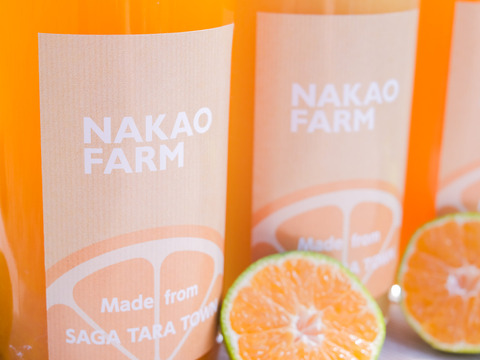 【佐賀県投稿キャンペーン対象商品】ごくごく飲んでみらんね!!みかんジュース3本セット（720ml×3）