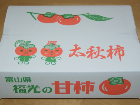甘柿『太秋柿』甘くて美味しい 　サイズ４Ｌ・８個 ・２.６kg以上 白い箱入り