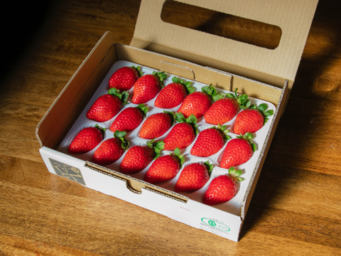 農薬ゼロ 100%オーガニックいちご 中粒(18粒)