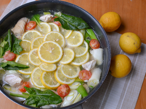 そばかすたっぷりB級品10kgだけど「ちばエコ農産物」認証鴨川レモン果汁用【食べて実感！まろやかな酸味】農薬最小限