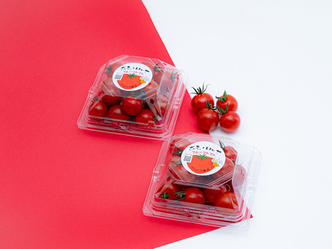 【迷ったらこれ！！】極上濃厚フルーツトマト「ポモロッサ」お試し用（2パック＋おまけ付）