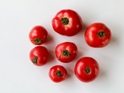 【無添加】自然栽培で育てたトマト使用🍅濃縮トマト５個