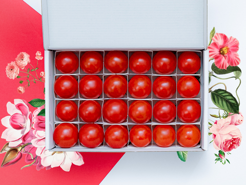 【母の日ギフト♪】極甘高糖度フルーツトマト「ポモロッサ」（24粒入り）