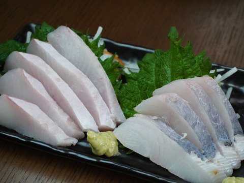 【夏限定】最高級魚〈マナガツオ〉１匹　（中）