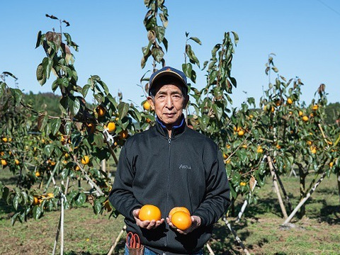 規格外の美味しさ、貴方の心を虜にする人気の柿「太秋」１０個から１２個入３．０㎏以上
令和５年「太秋」品評会で茨城県知事賞受賞