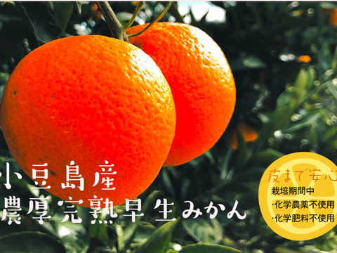 皮まで安心 化学農薬不使用小豆島産早生みかん5kg 予約 香川県産 食べチョク 農家 漁師の産直ネット通販 旬の食材を生産者直送