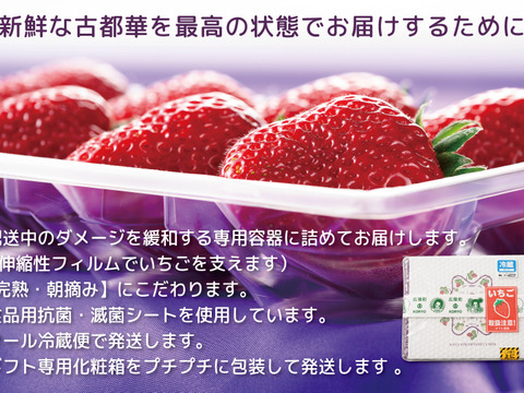 ”完熟いちご 古都華” 8～15粒（270～320ｇ）×2パック　贈答用ギフトケース入り