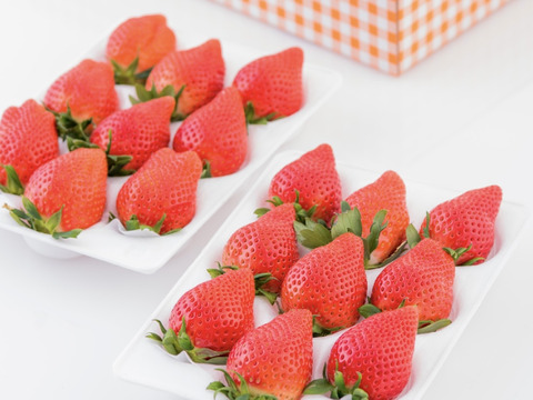 4年連続金賞受賞・群馬県最高峰いちご「スーパーデラックス」ダブル（W）2箱4品種入り