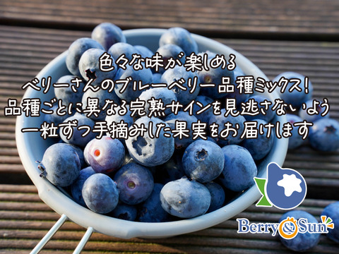 【販売終了】”ベリーさん”の完熟ブルーベリー品種ミックス 500g（125g×4パック）【生食用】