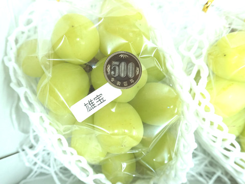 平井利右衛門の青ぶどう(雄宝/1房(大))