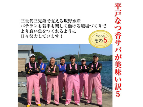 青空レストランで紹介されたフルーツ魚
平戸なつ香サバ（約500ｇ×4尾）三枚おろし 【さばき方＆魚レシピ付き】【熨斗対応可】
