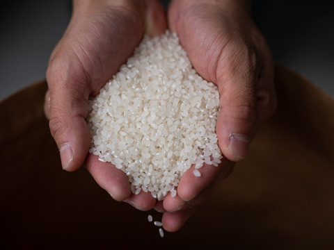 【予約商品】【令和7年新米】炊き上がりの艶と上品な甘さが絶品！魚沼産コシヒカリ『原材料名、津南町』精米10㎏(5㎏×2)