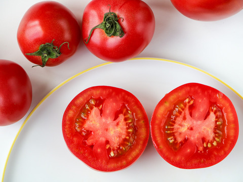 【無添加】自然栽培で育てたトマト使用🍅濃縮トマト５個
