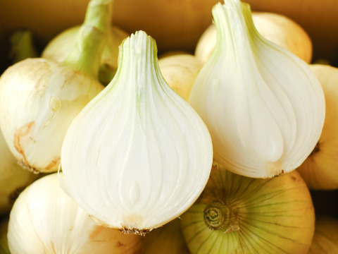 【予約商品】淡路島産新玉ねぎ 〚スイートオニオン』5kg