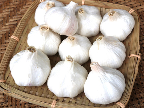 メール(レターパック)便！臭いが気になる方にオススメ！メくわはら農園の熊本マイルド(乾燥)にんにくL玉(直径6〜7cm)5個　農薬・化学肥料不使用■注意！！！時間帯指定不可