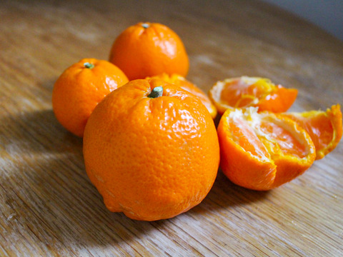 ［2kg］今が食べ頃！春柑橘の詰め合わせ（5種類・大小混合・訳あり）