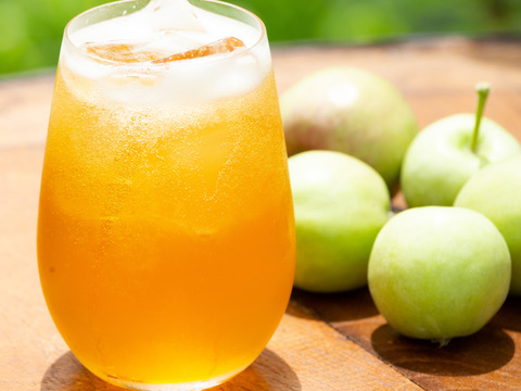 摘果りんご果汁100%＋炭酸🍏テキカカアップルソーダ🍏24本入（330ml） 砂糖・香料・保存料不使用でお子様にもおすすめ！甘さひかえめでお食事と一緒に楽しめます🍹新感覚ノンアルドリンク