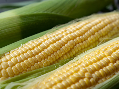 【プレミアム】5%しか採れない『八ヶ岳ヴィーナス』約380g×5本　☆糖度18〜20度　雑誌リンネル掲載【夏ギフト】