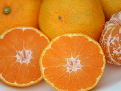 限定10セット！！
「温州ミカン」 　　収穫開始！
　　　みかん8ｋｇ　+　おまけの柑橘ジュースセット（720ｍｌ）