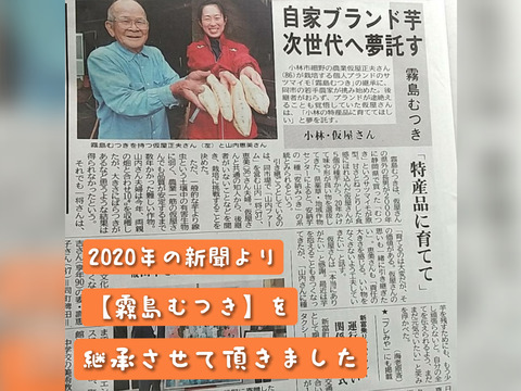 ★希少価値★【宮崎県産🍠さつまいも🍠】『霧島むつき』6kg🍠身体に優しく、美味しいさつま芋🍠
