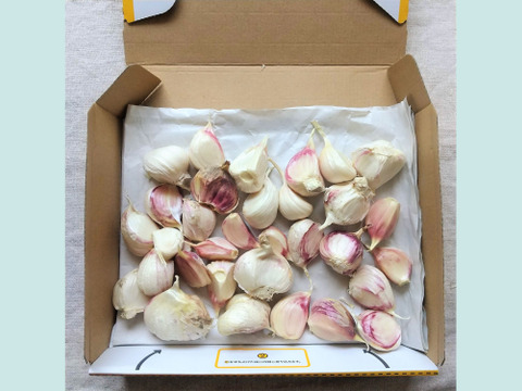 【有機JAS認証・期間限定】生にんにくバラ 南アルプスの有機野菜　500g