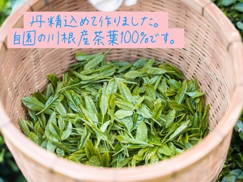 川根茶　煎茶やまびこ100ｇ袋入×５袋セット